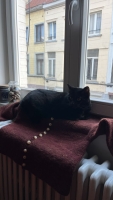 https://mathildewarnier.com/files/gimgs/th-13_IMG_5190_1.jpg